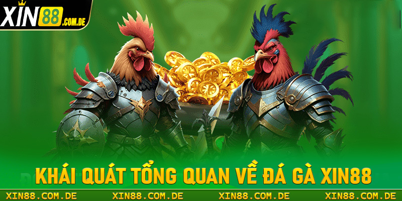 Khái quát tổng quan chung về sàn cá cược đá gà xin88 